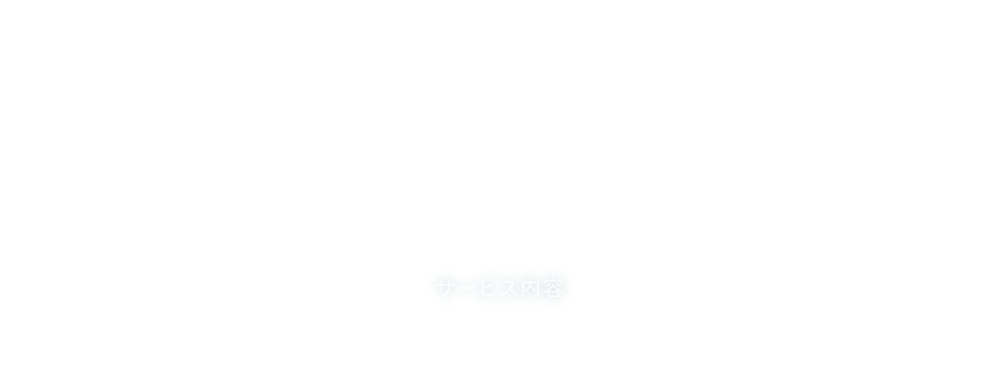 サービス内容